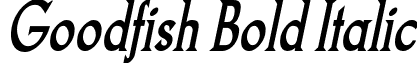 Goodfish Bold Italic font - Goodfish Bold Italic.ttf