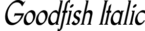 Goodfish Italic font - goodfish rg it.otf