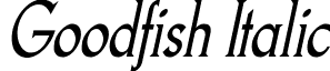 Goodfish Italic font - goodfish rg it.ttf