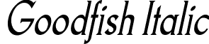 Goodfish Italic font - goodfisi.ttf