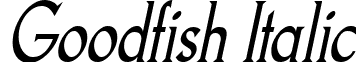 Goodfish Italic font - goodfish_italic.ttf