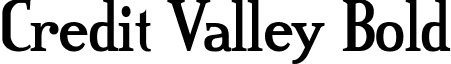 Credit Valley Bold font - Credit Valley Bold.ttf