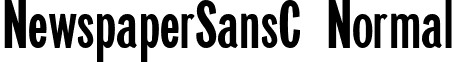 NewspaperSansC Normal font - NSS____C.TTF