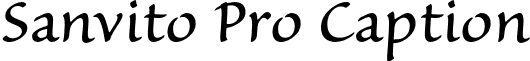 Sanvito Pro Caption font - SanvitoPro-Capt.otf