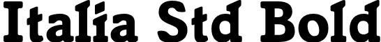 Italia Std Bold font - ItaliaStd-Bold.otf