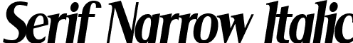 Serif Narrow Italic font - SERINI__.ttf