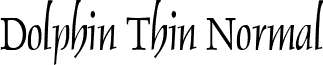 Dolphin Thin Normal font - Dolphin Thin Normal.ttf