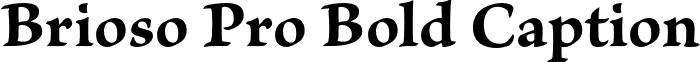 Brioso Pro Bold Caption font - BriosoPro-BoldCapt.otf