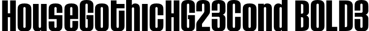 HouseGothicHG23Cond BOLD3 font - HouseGothicHG23Cond-BOLD3.otf