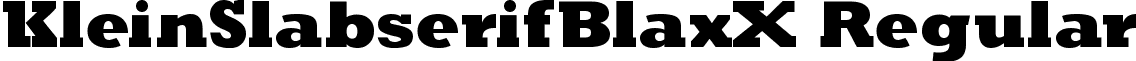 KleinSlabserifBlaxX Regular font - KleinSlabserifBlaxX.ttf