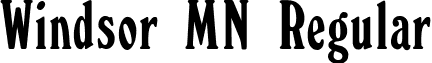 Windsor MN Regular font - Windsor MN Elongated.ttf