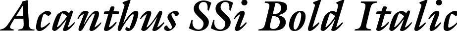 Acanthus SSi Bold Italic font - Acanthus SSi Bold Italic.ttf