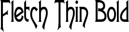 Fletch Thin Bold font - Fletch Thin Bold.ttf