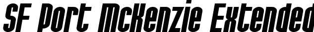 SF Port McKenzie Extended font - SF Port McKenzie Extended Bold Italic.ttf
