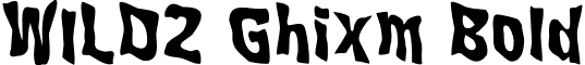 WILD2 Ghixm Bold font - WILD2 Ghixm Bold.ttf