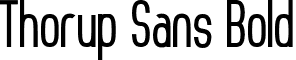 Thorup Sans Bold font - Thorup Sans Bold.ttf