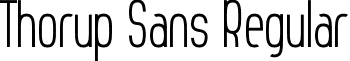 Thorup Sans Regular font - Thorup Sans.ttf