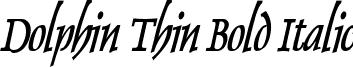 Dolphin Thin Bold Italic font - Dolphin Thin Bold Italic.ttf