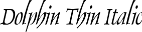 Dolphin Thin Italic font - Dolphin Thin Italic.ttf
