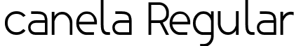 canela Regular font - canela_roman.otf