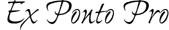 Ex Ponto Pro font - ExPontoPro-Regular.otf