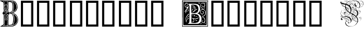 Ornamental Initials B font - Ornamental-Initials-B.ttf