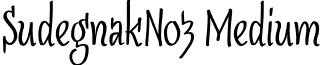 SudegnakNo3 Medium font - SudegnakNo3.ttf