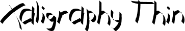 Xaligraphy Thin font - Xaligraphy Thin.ttf