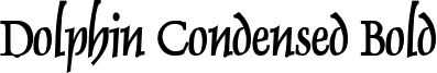 Dolphin Condensed Bold font - Dolphin Condensed Bold.ttf