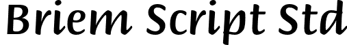 Briem Script Std font - BriemScriptStd-Medium.otf