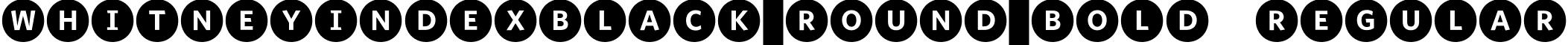 WhitneyIndexBlack-Round-Bold Regular font - WhitneyIndexBlack-RoundBd.ttf