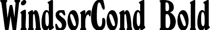 WindsorCond Bold font - WindsorCond-Bold.ttf