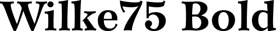 Wilke75 Bold font - Wilke75-Bold.ttf