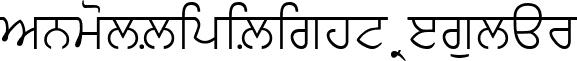 AnmolLipiLight Regular font - Anmol_L.TTF