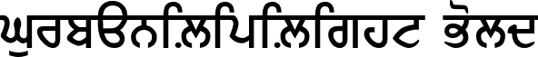 GurbaniLipiLight Bold font - G_LITE_B.TTF