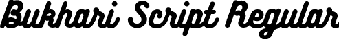 Bukhari Script Regular font - Bukhari Script.ttf