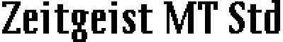 Zeitgeist MT Std font - ZeitgeistMTStd-Bold.otf