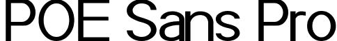 POE Sans Pro font - POE_Sans_1_30.ttf