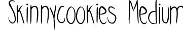 Skinnycookies Medium font - Skinnycookies.ttf