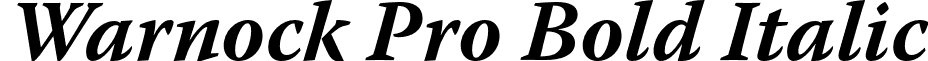 Warnock Pro Bold Italic font - WarnockPro-BoldIt.otf