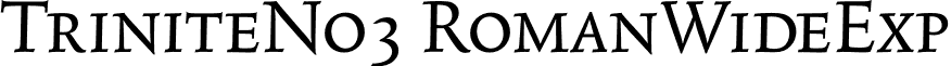 TriniteNo3 RomanWideExp font - TriniteNo3-RomanWideExp.otf