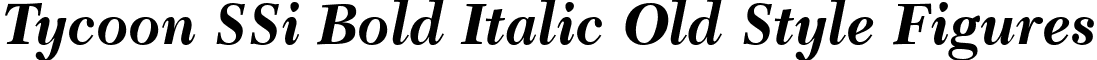 Tycoon SSi Bold Italic Old Style Figures font - Tycoon_SSi_Bold_Italic_Old_Style_Figures.ttf