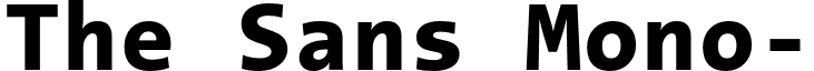 The Sans Mono- font - TheSansMono-ExtraBold.otf