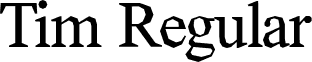 Tim Regular font - Tim-Regular.otf