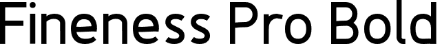 Fineness Pro Bold font - FinenessProBold.otf