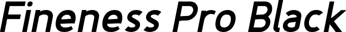 Fineness Pro Black font - FinenessProBlackItalic.otf
