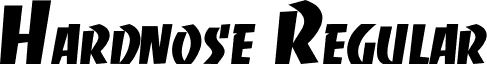 Hardnose Regular font - hardnose.ttf