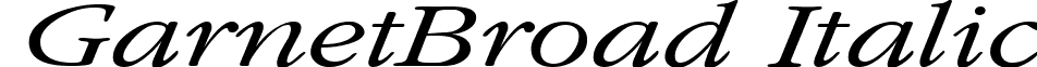 GarnetBroad Italic font - garnbri.ttf