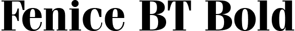 Fenice BT Bold font - fenice bold bt.ttf