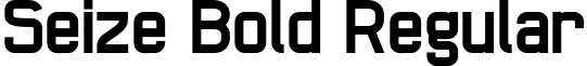 Seize Bold Regular font - Seize-Bold.otf